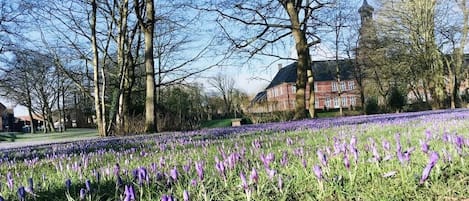 Overnatningsstedets område