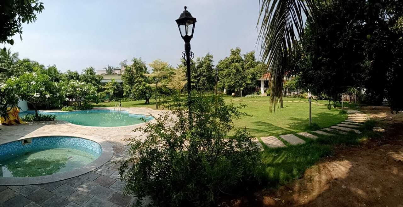 A swimming pool with a stone pathway, surrounded by lush greenery and a lamp post.