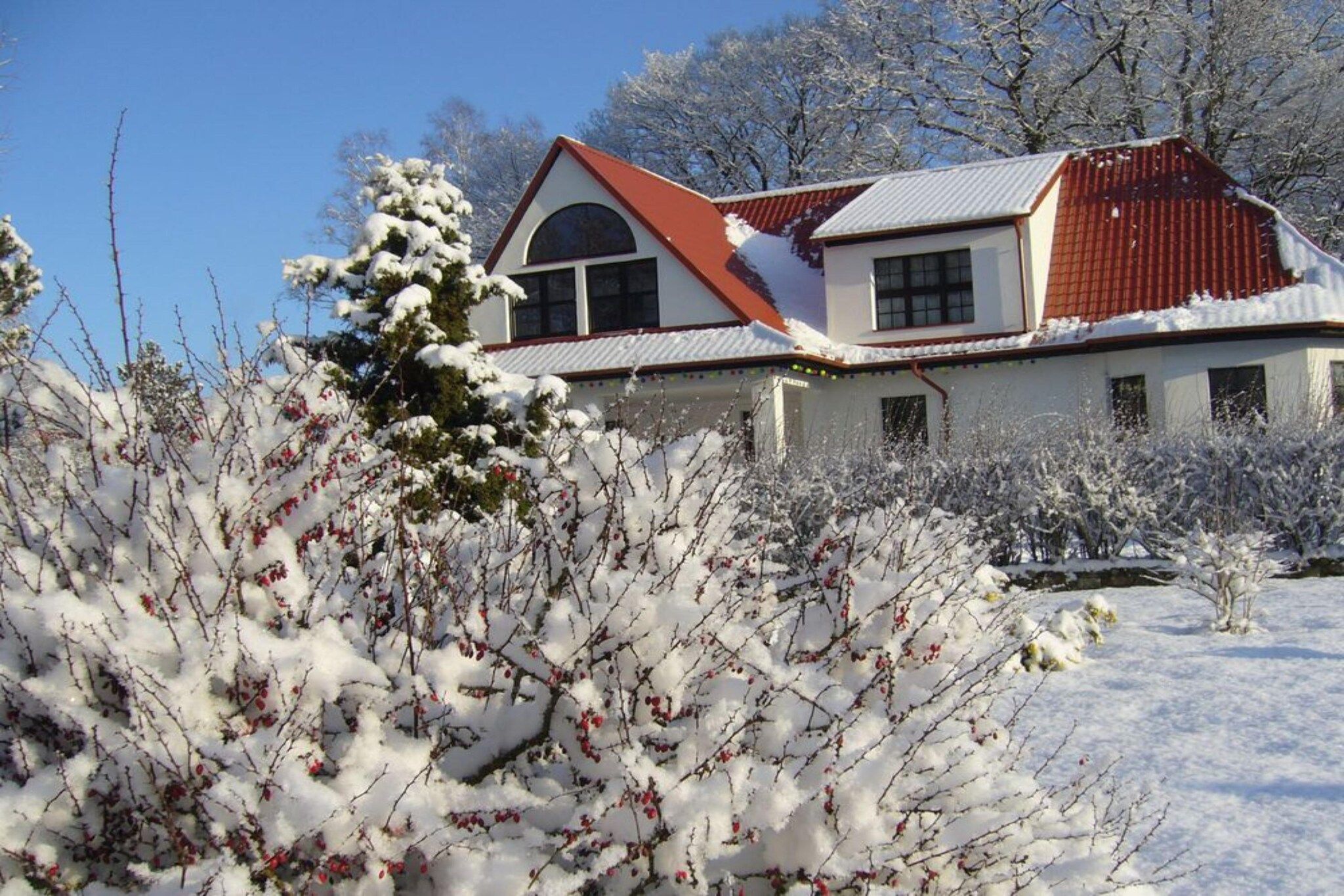 Une maison avec un toit rouge et des murs blancs, entourée d’arbustes et d’arbres couverts de neige.
