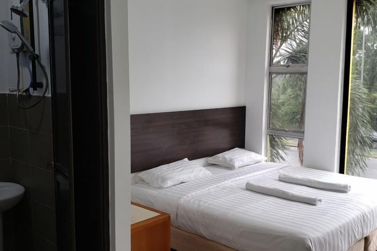 A hotel room with a bed, a window with a view of palm trees, and a shower area.