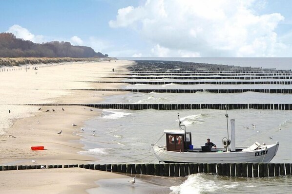 Playa en los alrededores 