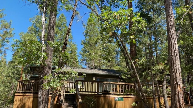 A cabin with a wooden deck and stairs leading to a covered area, surrounded by tall trees.