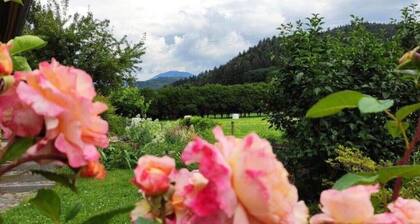 Vacation apartment Belchenblick