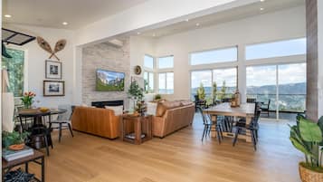 TV, fireplace, books