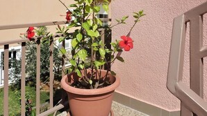 A potted plant with red flowers on a balcony. - House in Starigrad near Paklenica Park (Starigrad Paklenica)