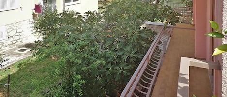 施設の敷地