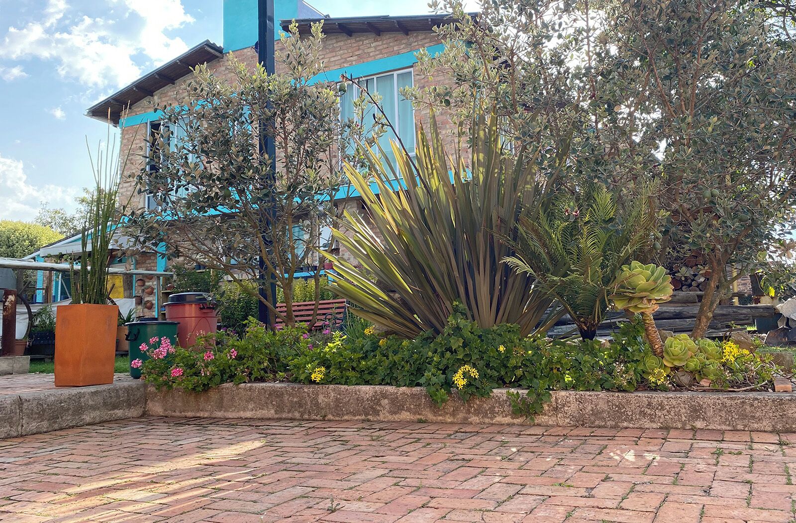 A courtyard with a variety of plants and a brick pathway.
