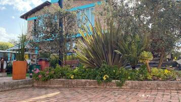 A courtyard with a variety of plants and a brick pathway.