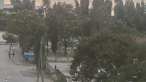 A street view with a sunset over a body of water, trees, and buildings. - Hotel Delux (Mwanza)