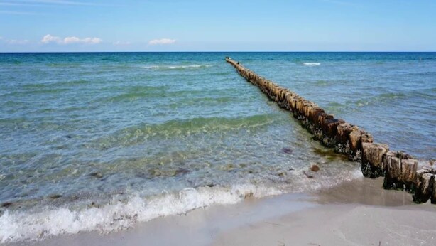 A long, weathered wooden structure extending into the ocean from the beach. - Wohnung in Zingst nahe Ostseestrand (Zingst)