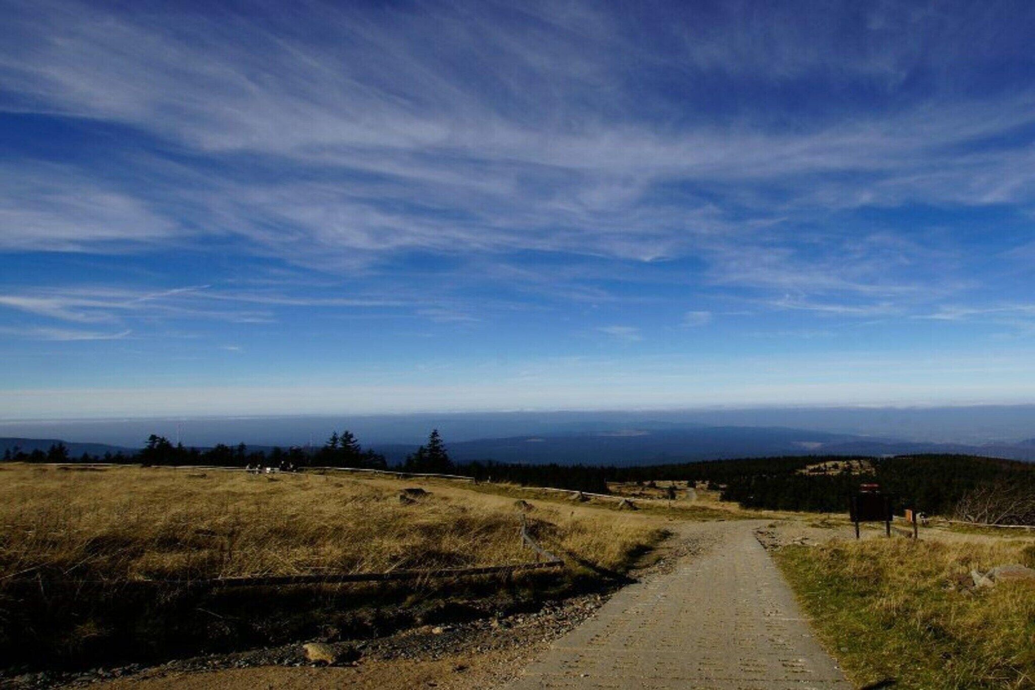 Un sentier de terre serpente à travers un champ verdoyant, sous un ciel bleu dégagé.