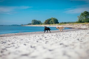 Nära stranden
