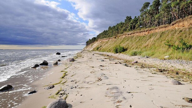 Una playa arenosa con rocas dispersas y un terraplén cubierto de hierba y árboles.