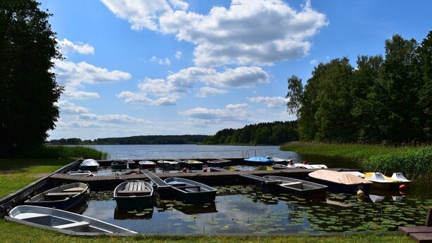 A lakeside dock with several boats moored, surrounded by lush greenery and a clear sky. - Reihenhaus am Gardersee (Lohmen)