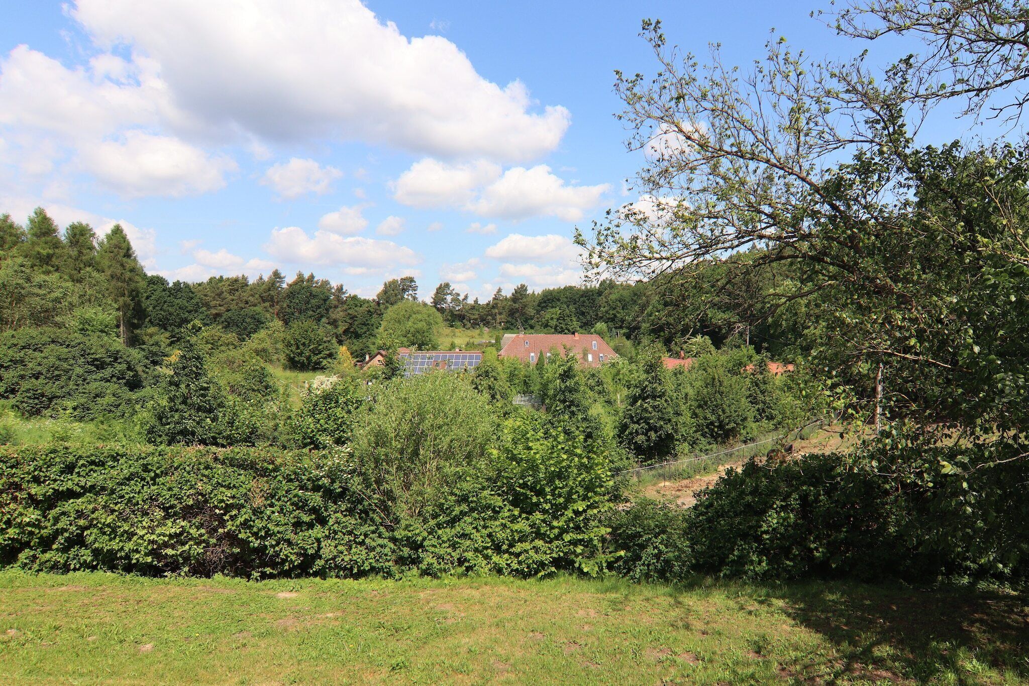 A rural landscape with a house surrounded by dense greenery and trees.