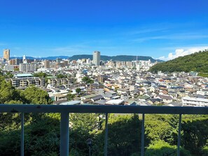 City view from property