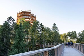 Een meerlaags houten gebouw, omringd door bomen, met een houten bruggetje ernaartoe.