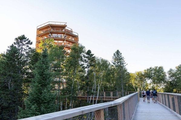 Un edificio de madera de varios niveles rodeado de árboles, con un puente de madera que lo conecta.