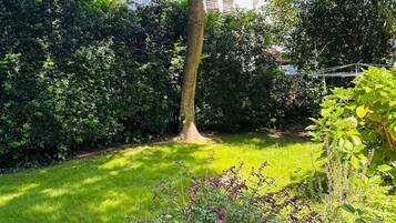 A well-maintained garden with a large tree, a lawn, and a building in the background.