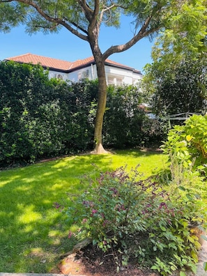 Ein gepflegter Garten mit einem großen Baum, einer Rasenfläche und einem Gebäude im Hintergrund.
