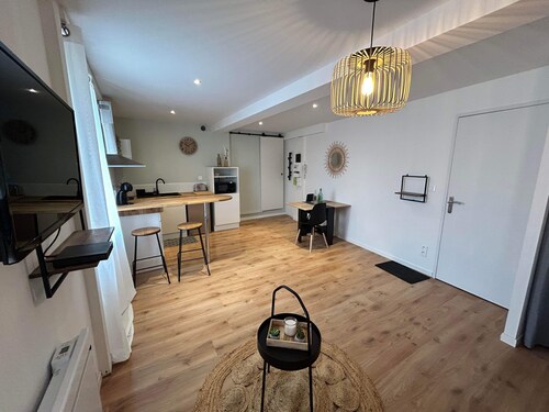 Grand Studio Rénové au Cœur de Labruguiere Équipé de la Fibre