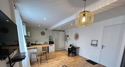 Grand Studio Rénové au Cœur de Labruguiere Équipé de la Fibre