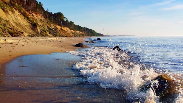 A beach with a sandy shore, waves crashing onto the beach, and a forested cliff in the background.
