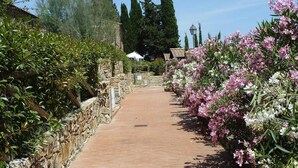 A paved garden pathway flanked by lush greenery and flowering plants, leading to a building with a stone wall and a lamp post. - Apartment in Campiglia Marittima (Campiglia Marittima)