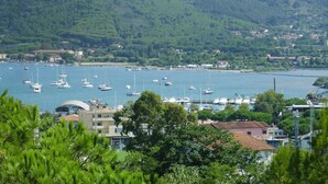 Un pueblo costero con barcos amarrados en un puerto deportivo, rodeado de vegetación y colinas.