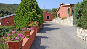 Un estrecho sendero empedrado flanqueado por edificios rojos y abundante vegetación, que conduce a una pequeña construcción con una puerta.