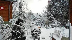 En snötäckt trädgård med en träbänk och en gång av tegelstenar.