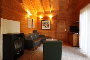 TV connectée, cheminée, lecteur de DVD, chaîne hi-fi