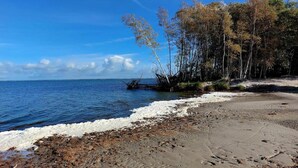Ein Strand mit klarem Himmel, felsigem Ufer und Bäumen im Hintergrund.