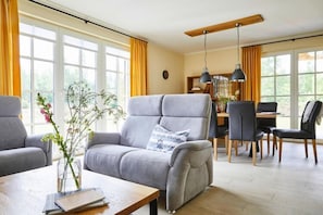 TV connectée, cheminée, lecteur de DVD