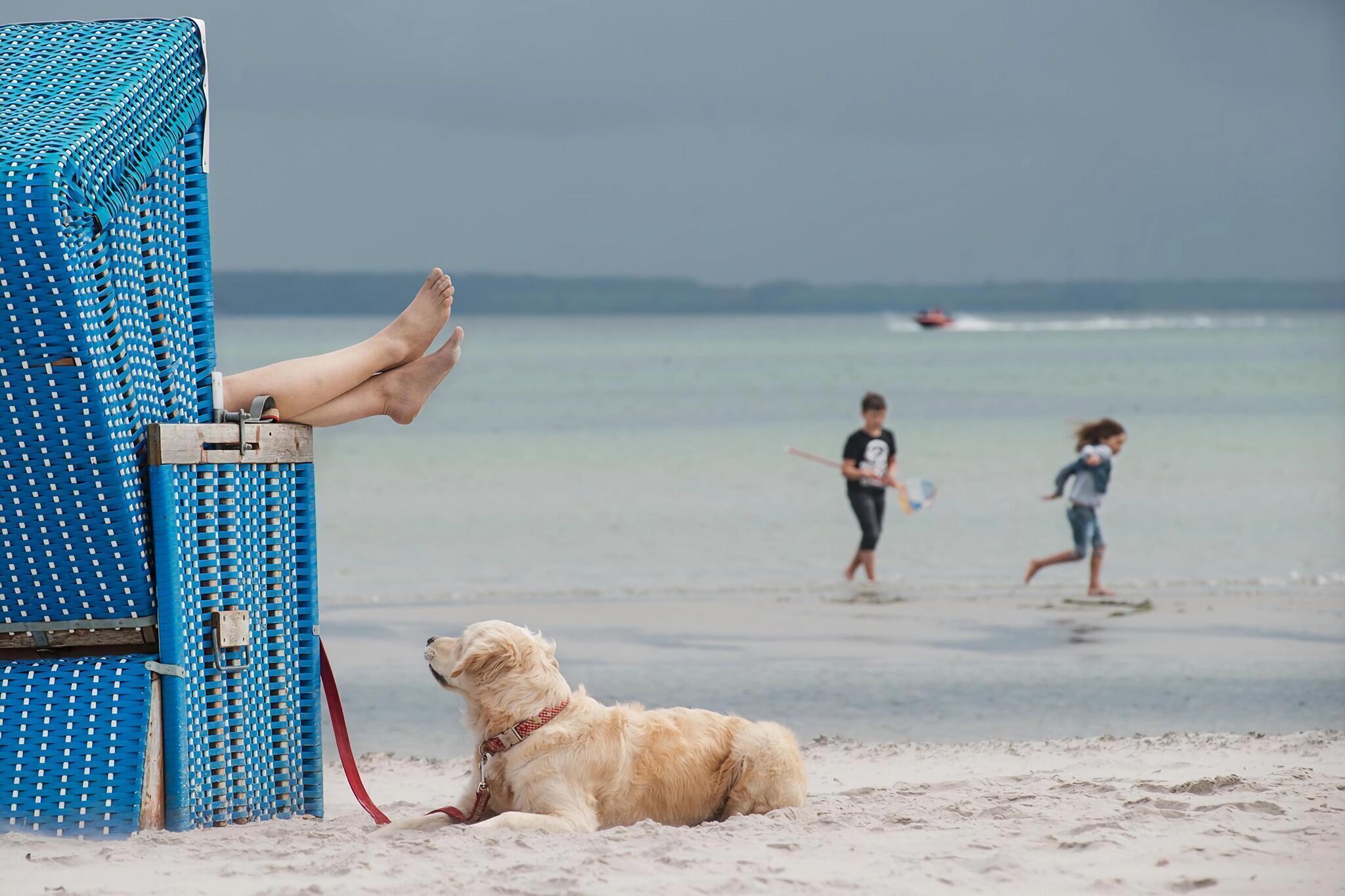 Eine Strandansicht mit einem Hund, der im Sand neben einem blauen Liegestuhl liegt.