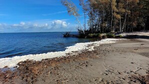 A beach with a sandy shore, a rocky outcrop, and trees in the background.