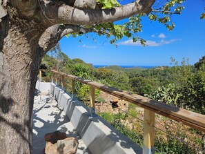 Property grounds - Charmante Petite Maison au Coeur du Maquis (Porto-Vecchio)