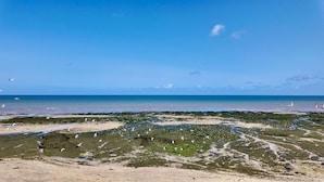 Uma praia com céu limpo, águas calmas e gaivotas.