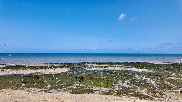海灘