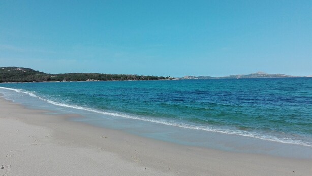 A beach with clear blue water, sandy shore, and distant hills. - Apartment in Cannigione (Cannigione)