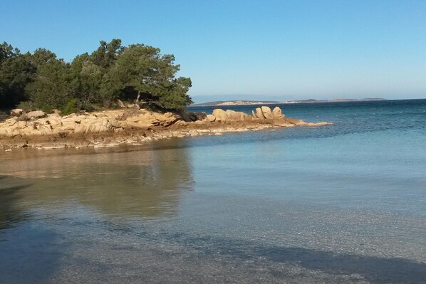 Nära stranden