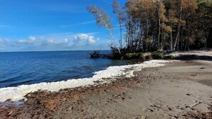 Ein Strand mit felsigem Ufer, Bäumen und blauem Himmel.