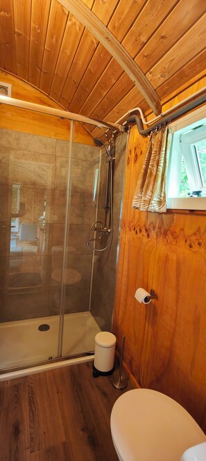 Shower, hair dryer, towels, toilet paper