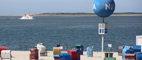 A beach with numbered beach chairs and a large blue sign.