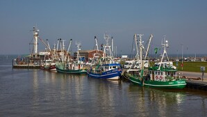 Un port où sont amarrés plusieurs bateaux de pêche, un bâtiment portant l’inscription « Fischerei » et, au fond, une zone herbeuse.