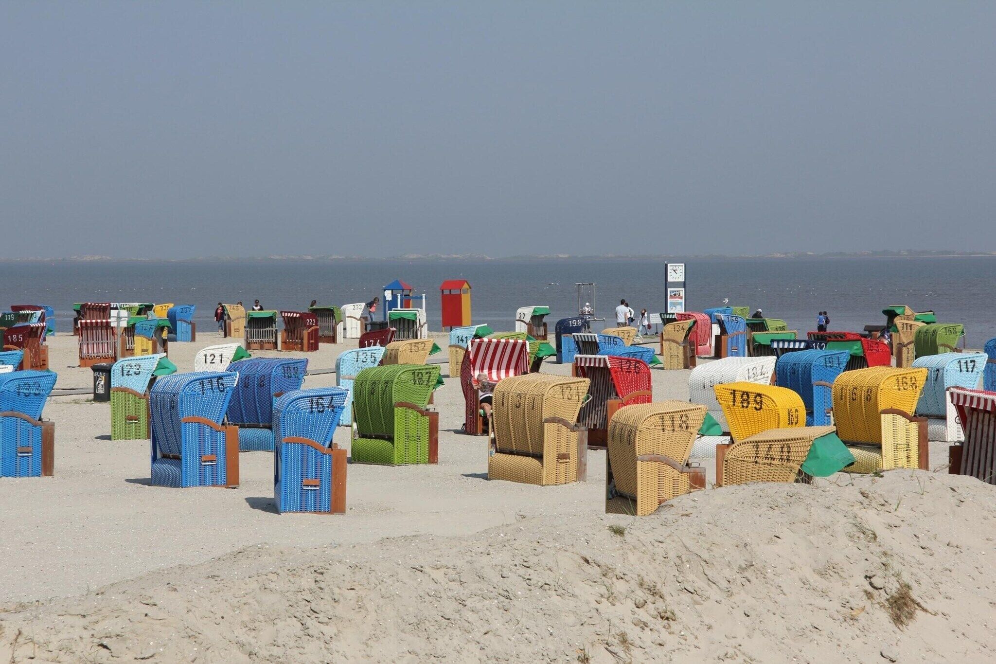 Een strand met talloze kleurrijke strandstoelen en parasols, elk voorzien van een nummer.