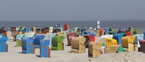 Een strand met talloze kleurrijke strandstoelen en parasols, elk voorzien van een nummer.