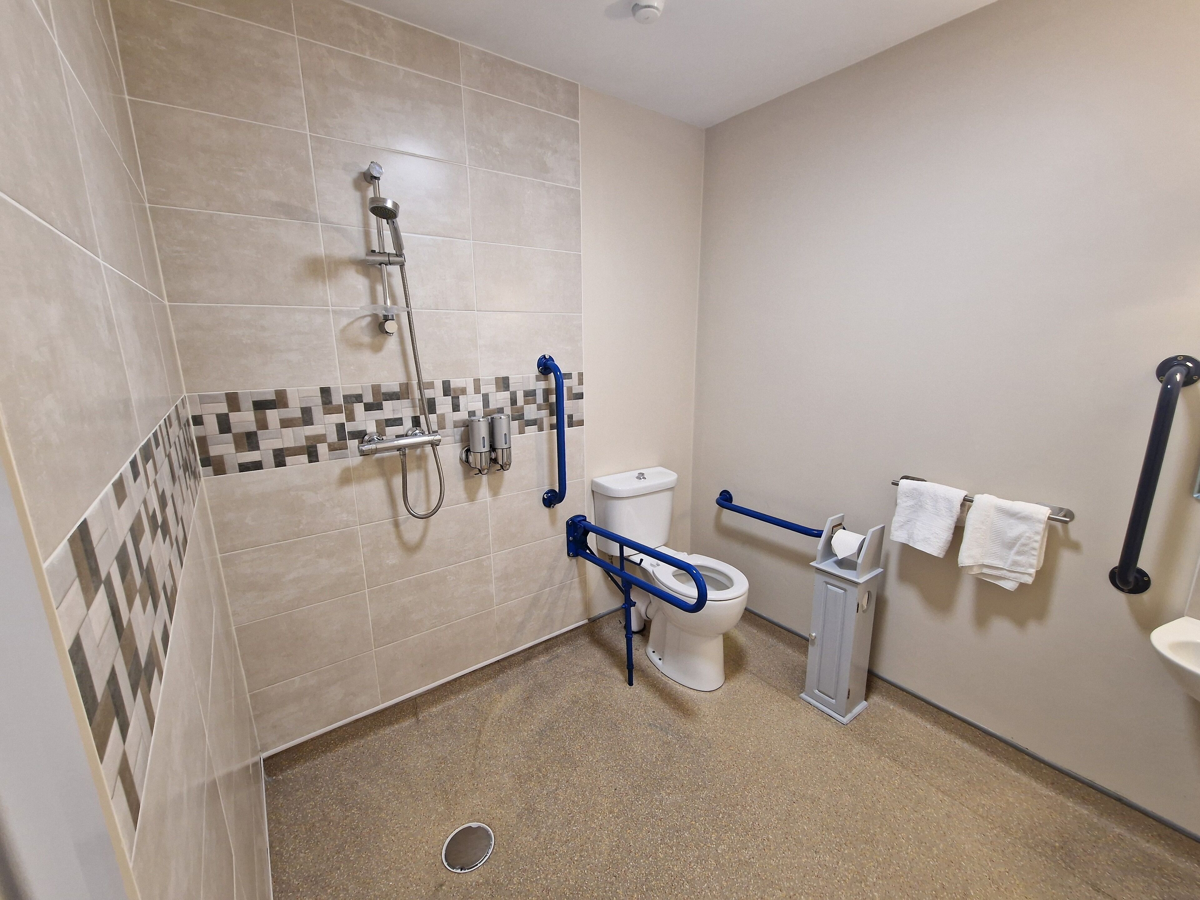 A bathroom with a shower, toilet, and grab bars.