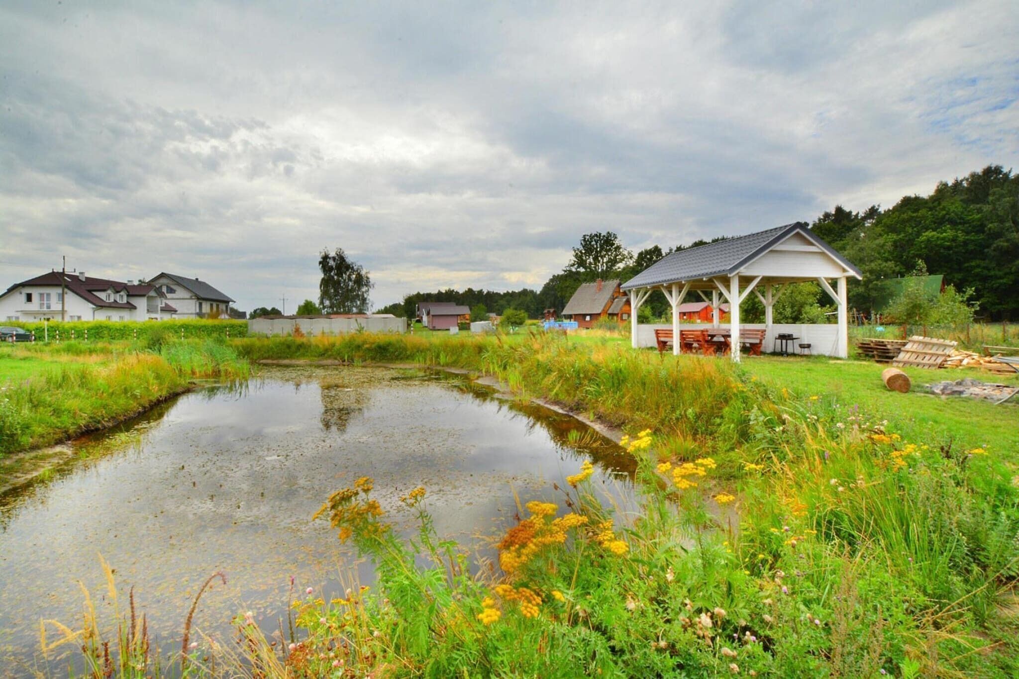 A rural landscape with a pond, grassy areas, and several houses.