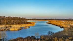 Un río serpentea por una zona pantanosa, con árboles en las orillas y aerogeneradores a lo lejos.